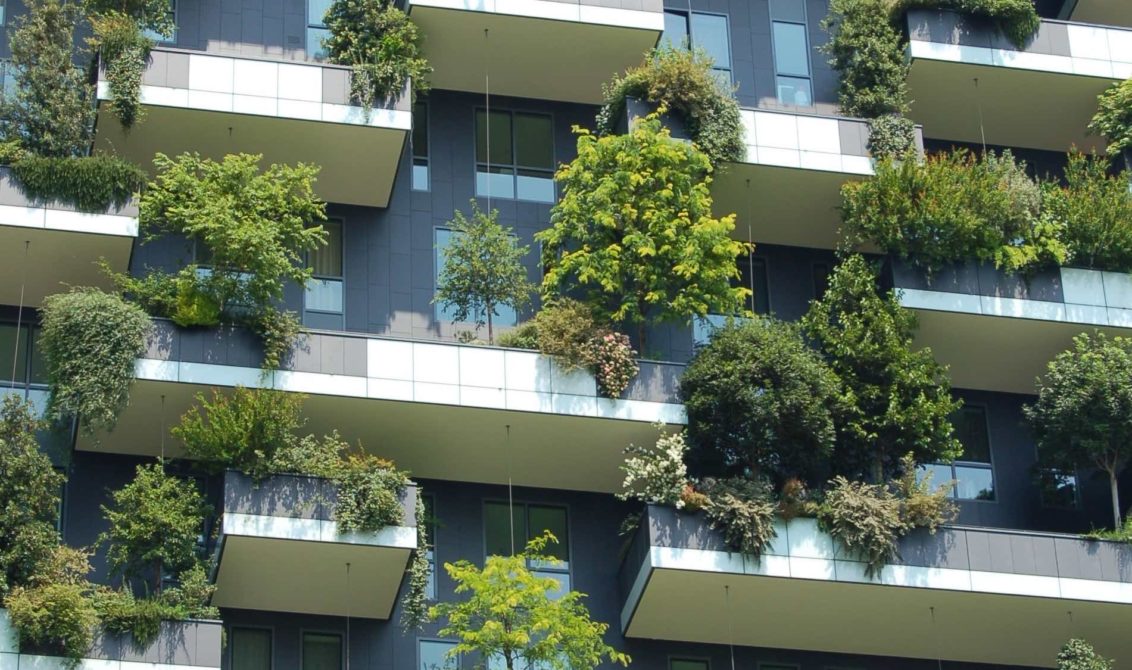 Green vertical garden as if green bond funded