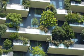 Green vertical garden as if green bond funded